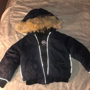 Canada goose